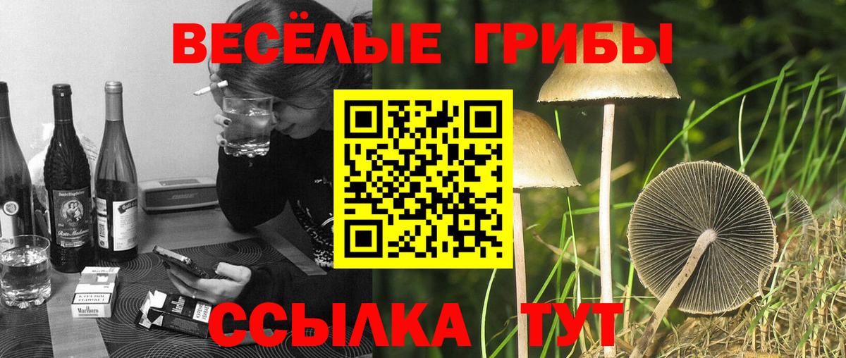 Галлюциногенные грибы Cubensis  Вход с VPN  Алексеевка 